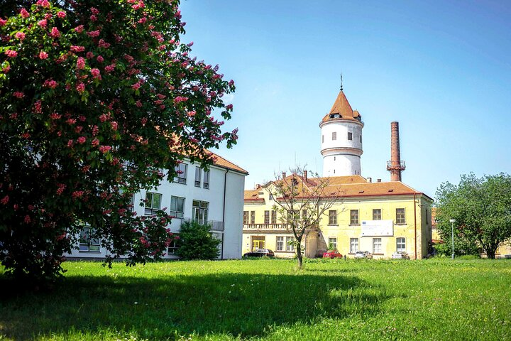 Explore the intriguing grounds of Bohnice Psychiatric Hospital where historic buildings and lush greenery invite reflection on the complex history of mental health treatment and forgotten lives.